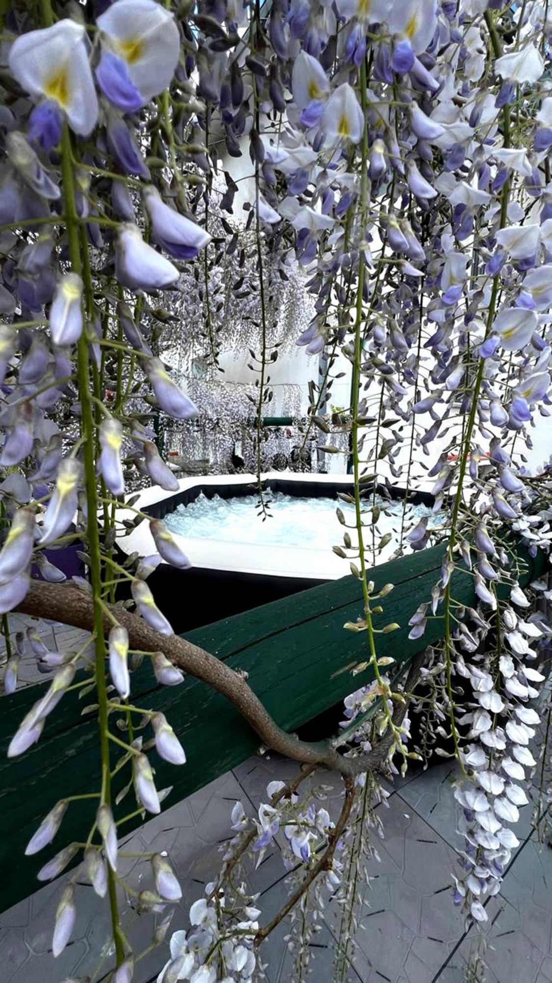Gan Eden Bed and Breakfast San Benedetto Del Querceto Exteriör bild