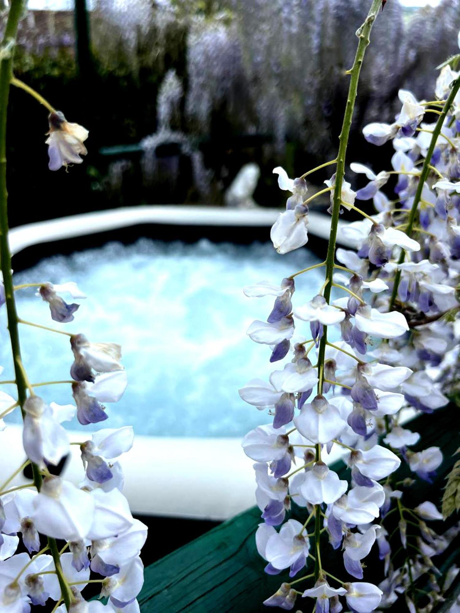 Gan Eden Bed and Breakfast San Benedetto Del Querceto Exteriör bild